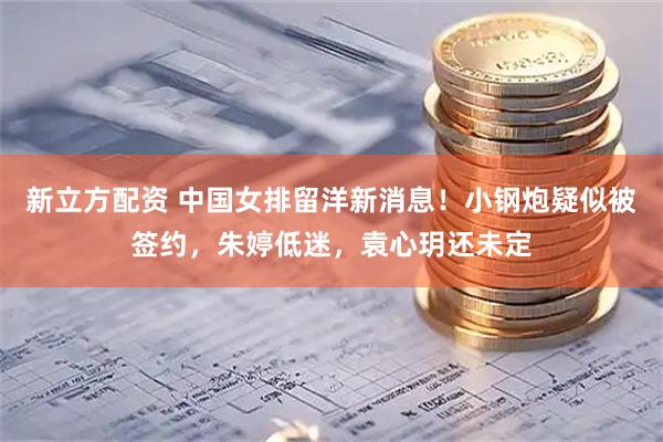 新立方配资 中国女排留洋新消息！小钢炮疑似被签约，朱婷低迷，袁心玥还未定