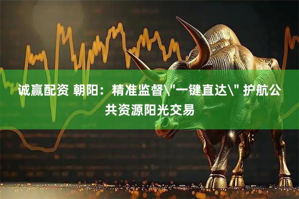 诚赢配资 朝阳：精准监督＂一键直达＂ 护航公共资源阳光交易